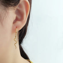 Load image into Gallery viewer, Hot Sale Snake-shaped Animal Pendant Hoop Earrings

