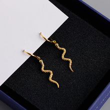 Load image into Gallery viewer, Hot Sale Snake-shaped Animal Pendant Hoop Earrings
